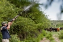 Argentina-Dove-Shooting