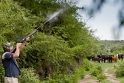 argentina-dove-hunting-los-chanares-lodge-lonely-shooter